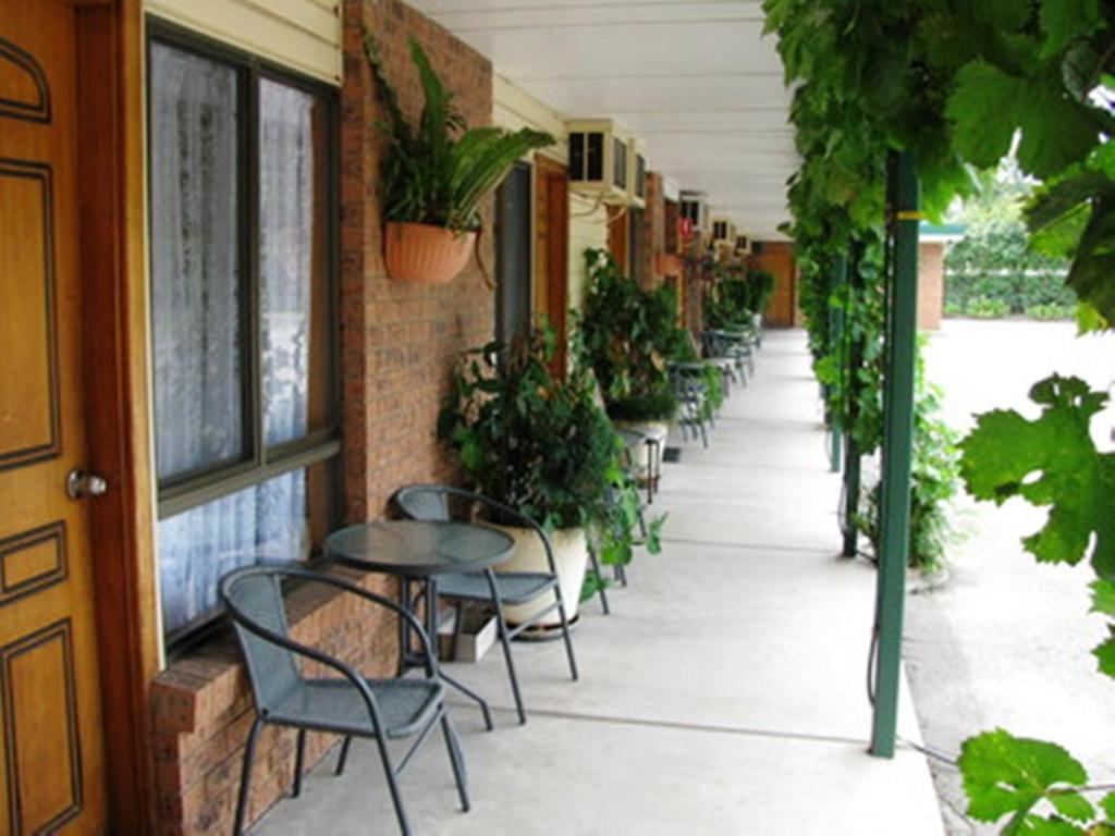 The Wayfarer Motel Muswellbrook Værelse billede