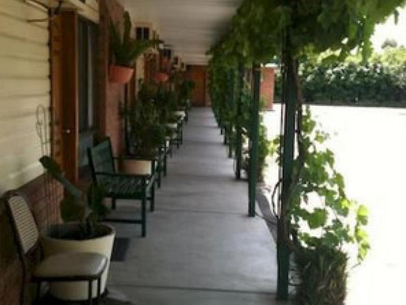 The Wayfarer Motel Muswellbrook Eksteriør billede